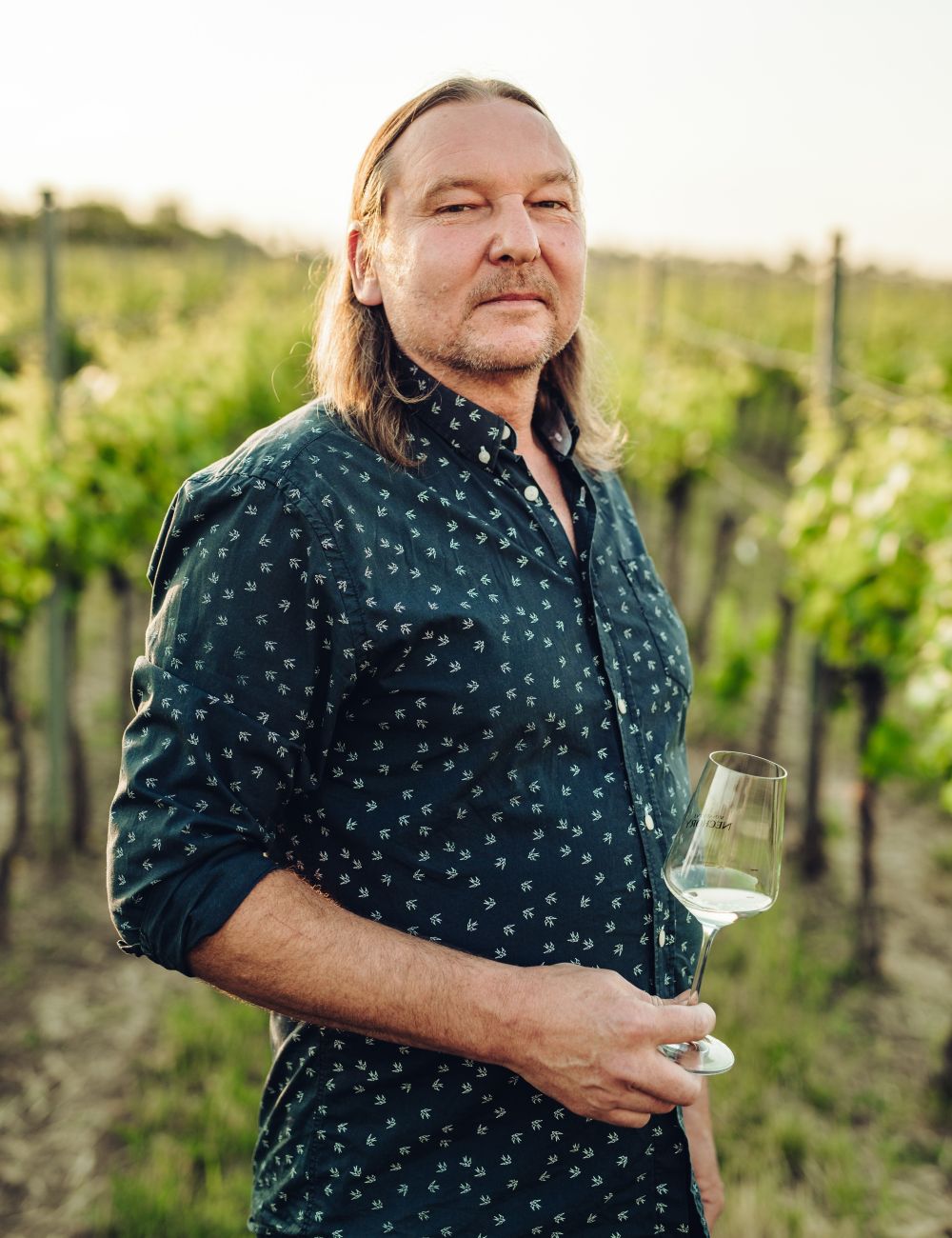 19. Vinařství Marek Pšovský